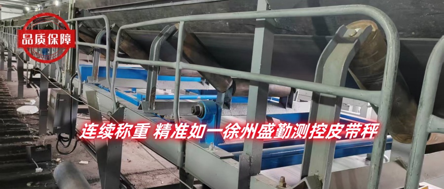 皮帶秤生物質.jpg 皮帶秤生物質.jpg